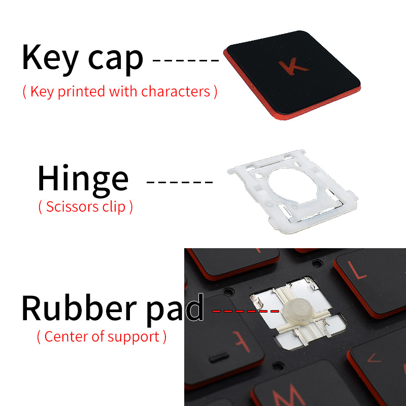 Ersatz-Tastenkappe, Scherencli – Laptop Accessories Hp Bewertung und Preis